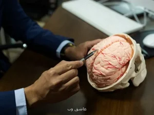 نخستین دیتاسنتر بیولوژیکی جهان با استفاده از سلول های زنده مغز انسان